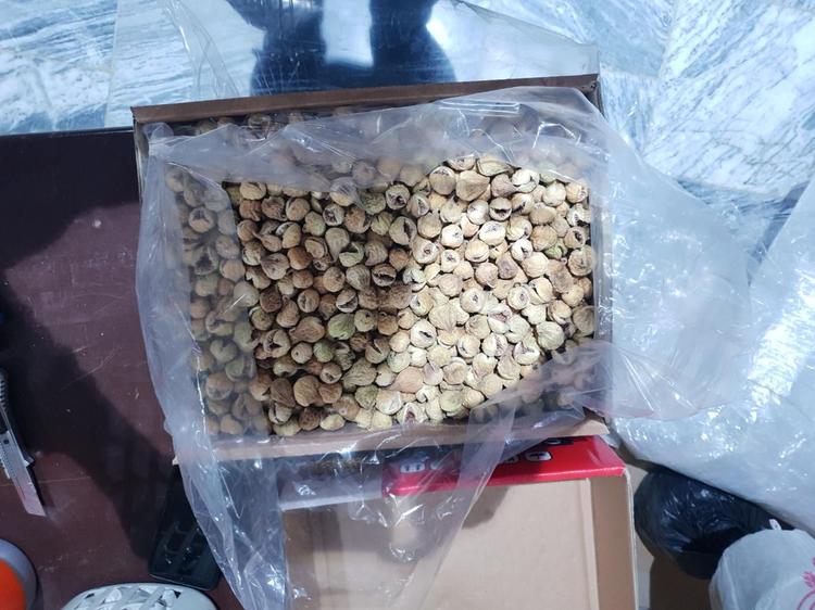 شرکت بازرگانی آراز تجارت پاشا | Araz Tejarat Pasha